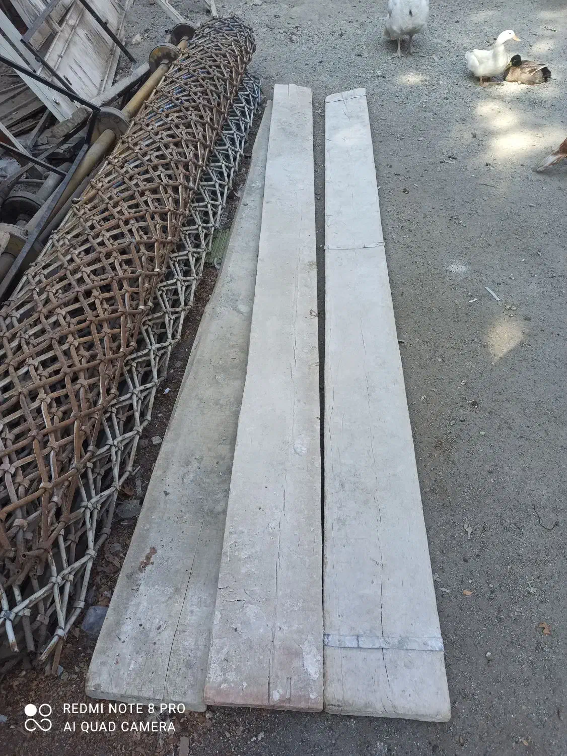 تخته بنایی|مصالح و تجهیزات ساختمان|محمدشهر, محمدشهر|دیوار