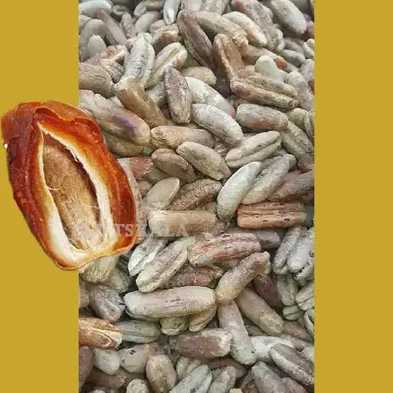 هسته خرما|خوردنی و آشامیدنی|قلعه گنج, |دیوار