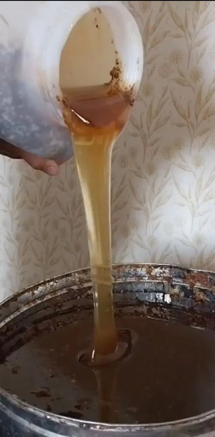 عسل خالص به شرط|خوردنی و آشامیدنی|اندیشه, اندیشه فاز ۵|دیوار