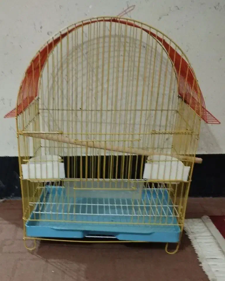 قفس پرنده|لوازم جانبی حیوانات|بوشهر, |دیوار