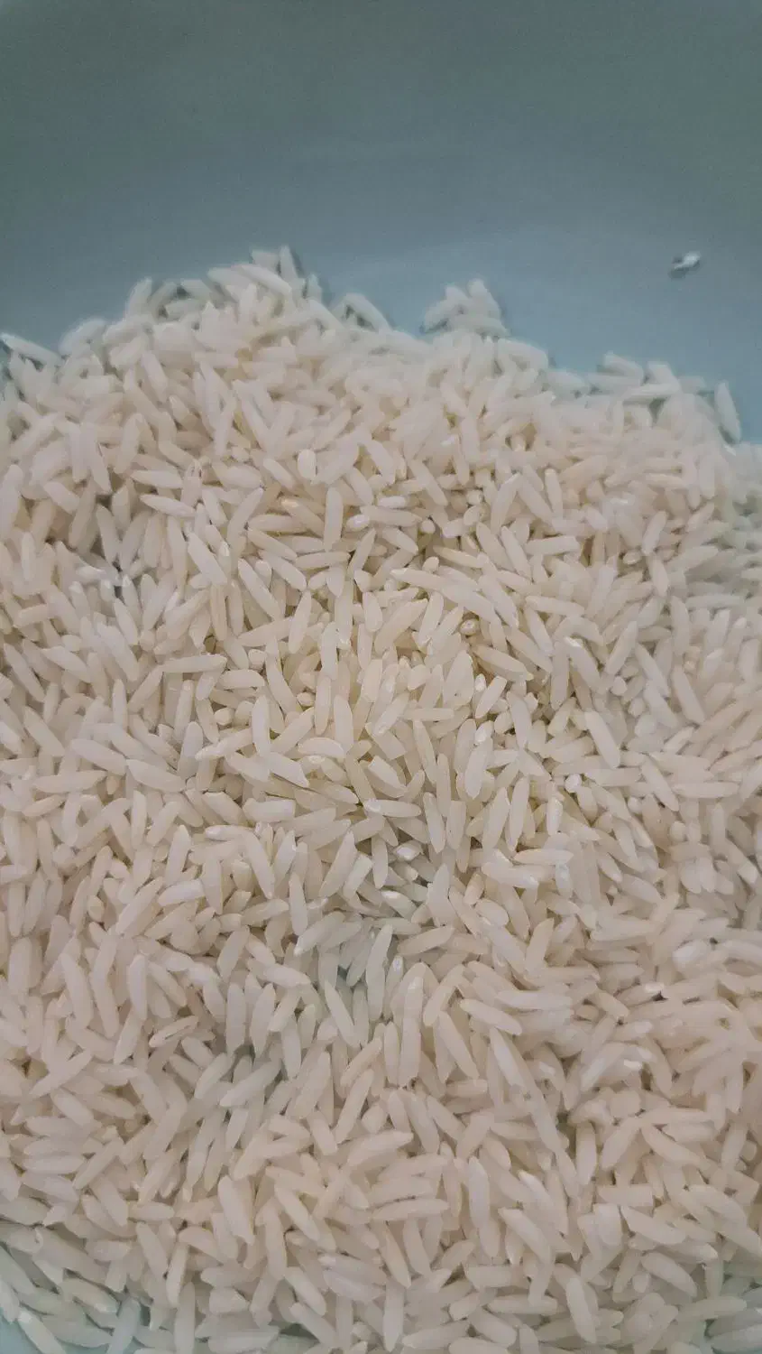 برنج سورت شده  هاشمی درجه ۱ رود سر گیلان|خوردنی و آشامیدنی|تهران, جنت‌آباد مرکزی|دیوار