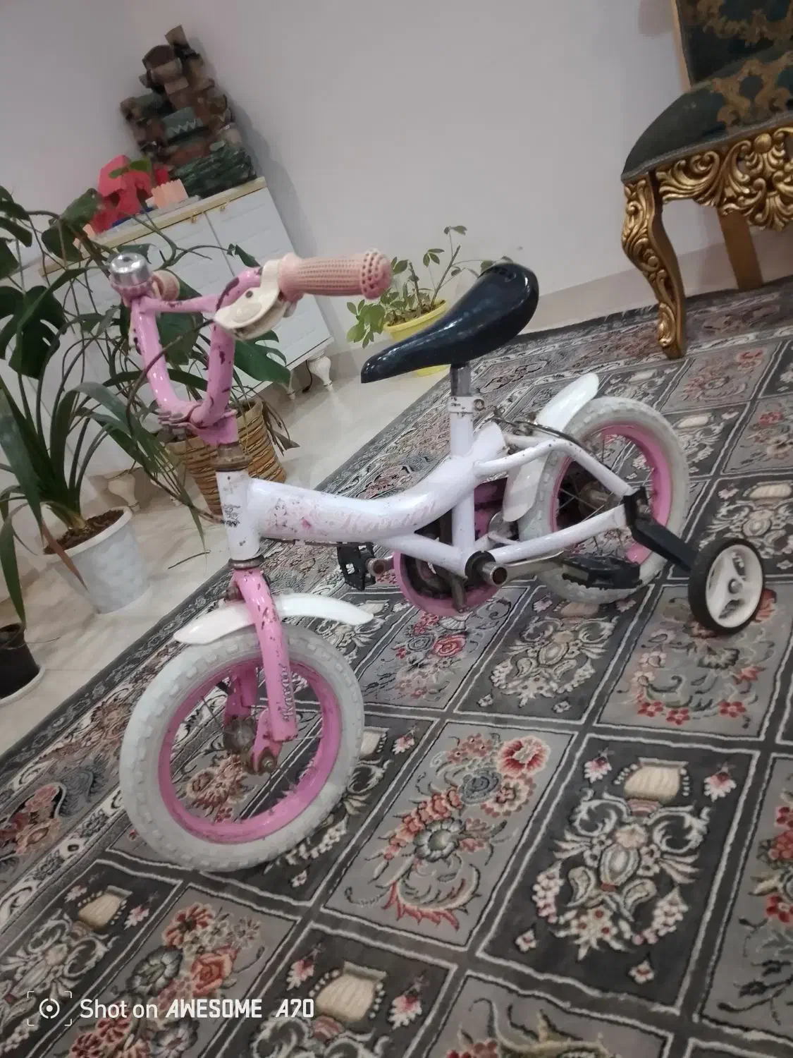 دوچرخه|دوچرخه، اسکیت، اسکوتر|تربت جام, شهید غلام زاده|دیوار