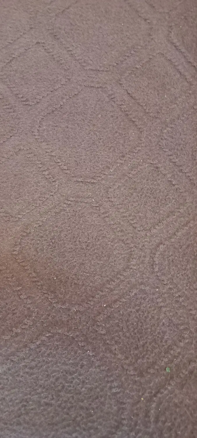 موکت کالباسی تیره|موکت|الیگودرز, |دیوار