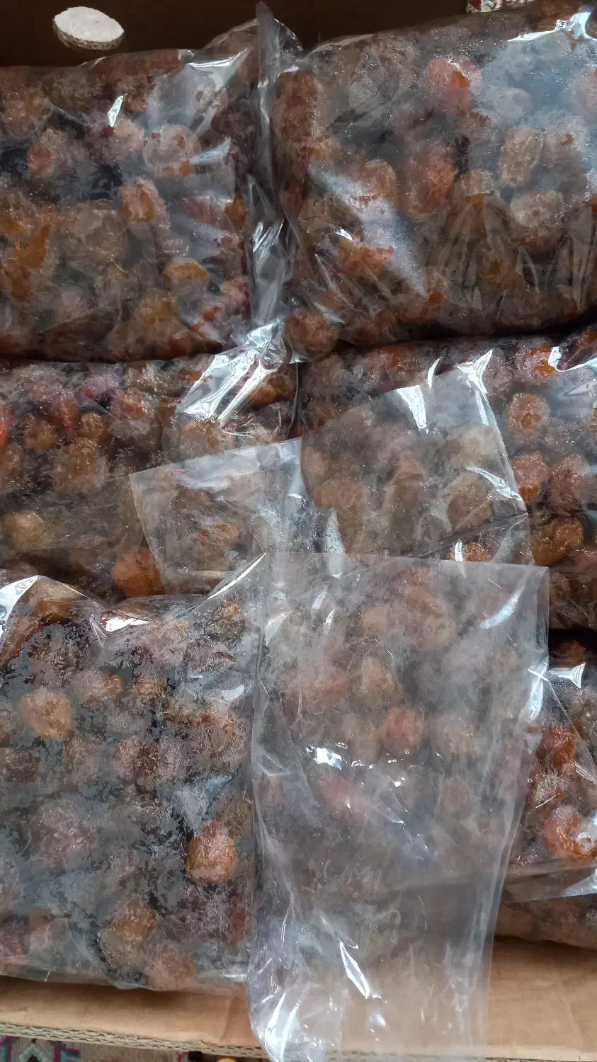 آلوی خورشتی طرقبه آفتابی درجه یک|خوردنی و آشامیدنی|تهران, مجیدیه|دیوار