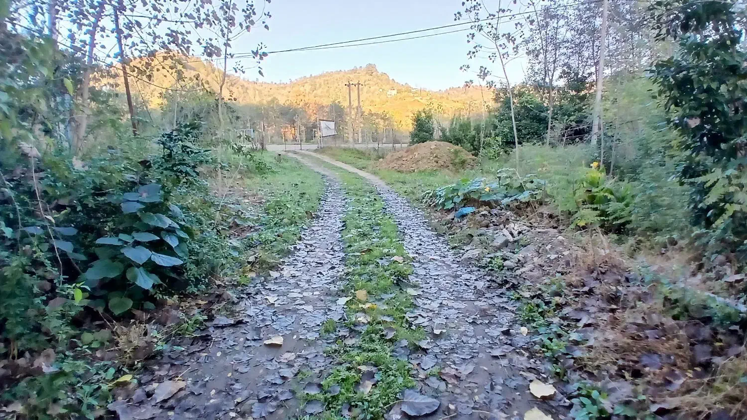 لنگرود کومله اطاقور ویلا مبله جنگلی ویوابدی|اجارهٔ کوتاهمدت ویلا و باغ|لنگرود, |دیوار