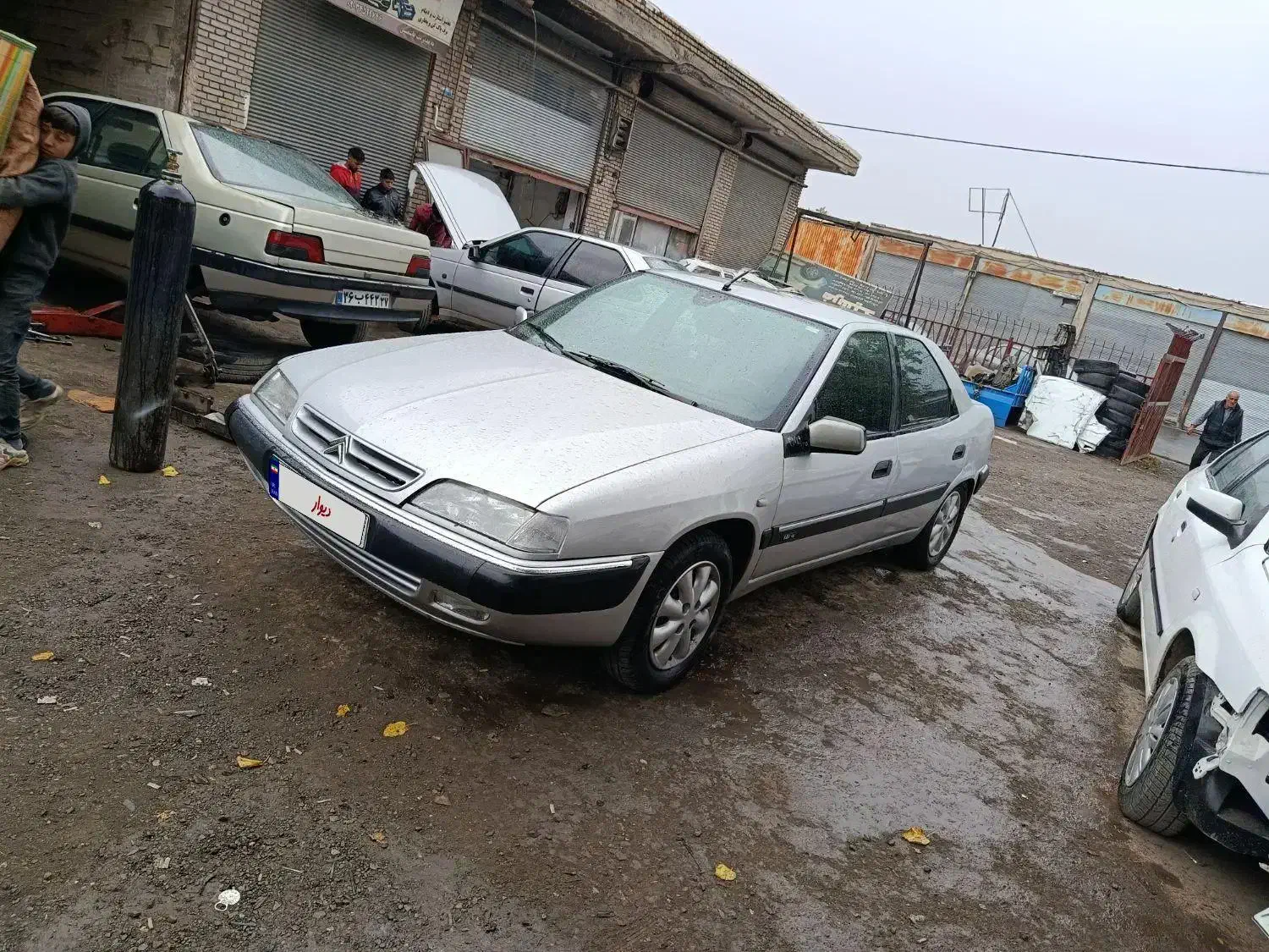 زانتیا سوپر لوکس مدل ۸۱ عتیقه|خودرو سواری و وانت|خوی, |دیوار