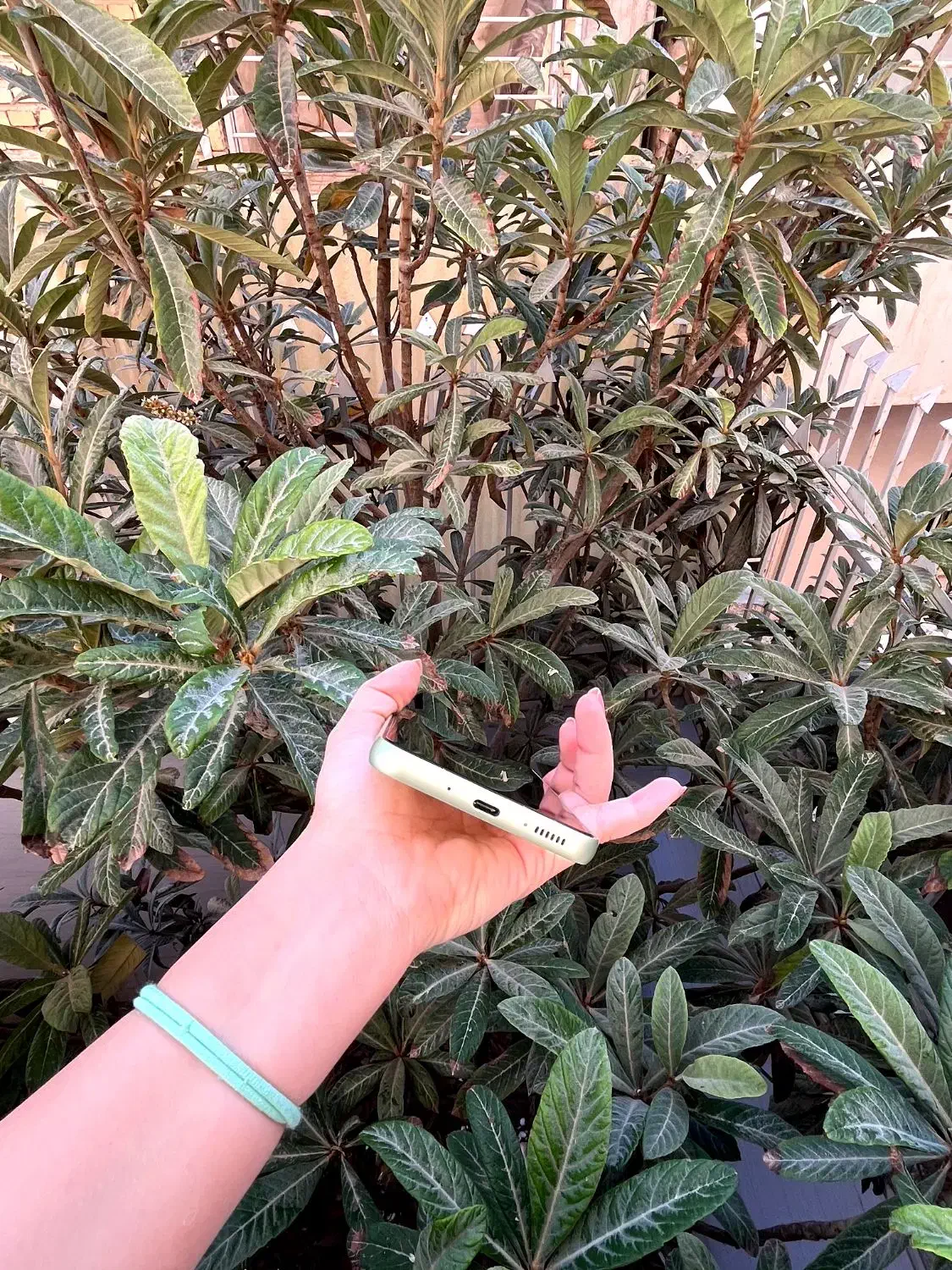 سامسونگ A54 256Gb 5G درحدنو|موبایل|گنبد کاووس, |دیوار