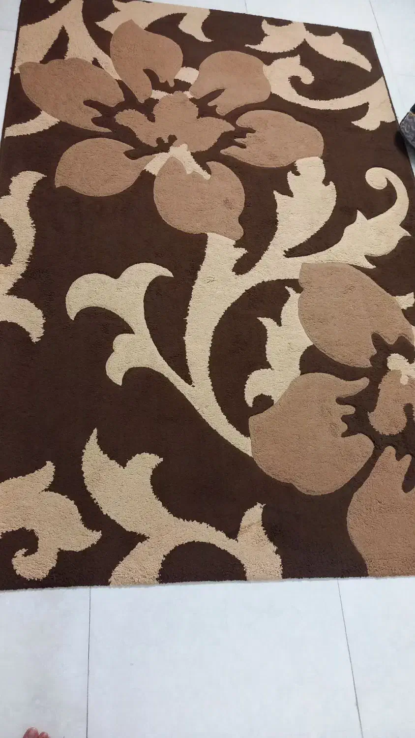 فرش|فرش|مشهد, پروین اعتصامی|دیوار