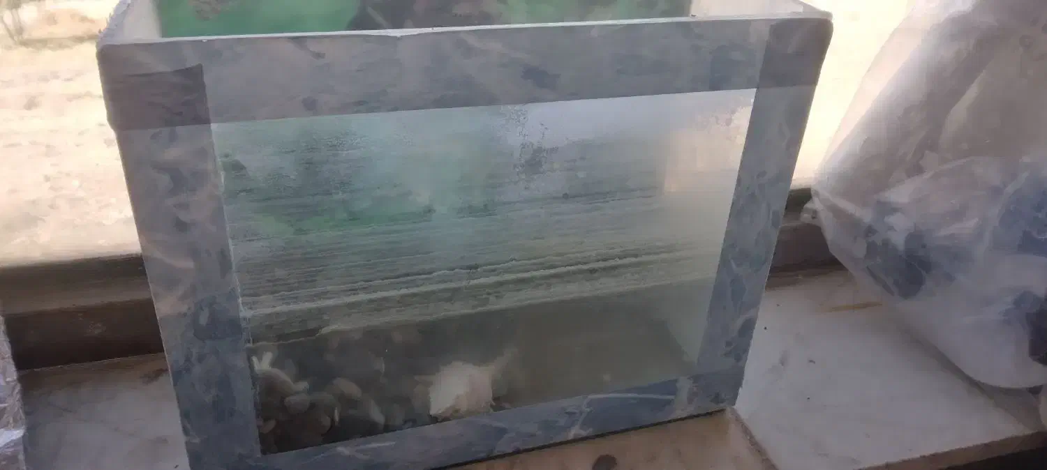 آکواریوم|لوازم جانبی حیوانات|محمدیه-قزوین, |دیوار