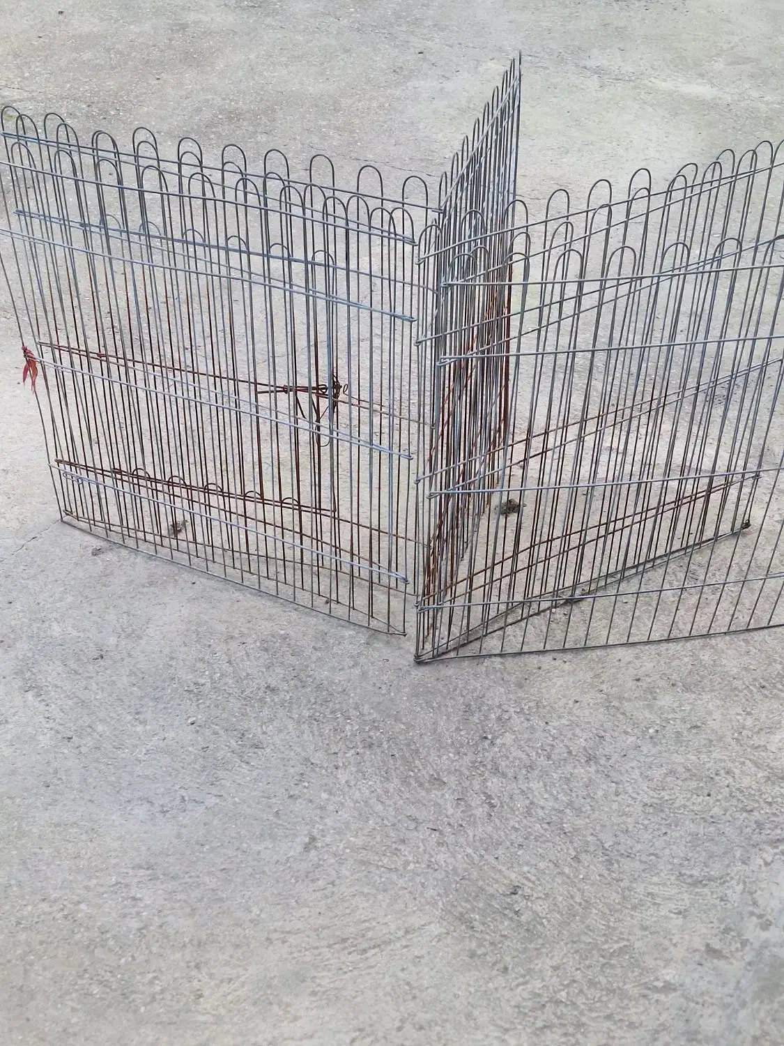 پارک سگ و گربه|لوازم جانبی حیوانات|رامسر, |دیوار