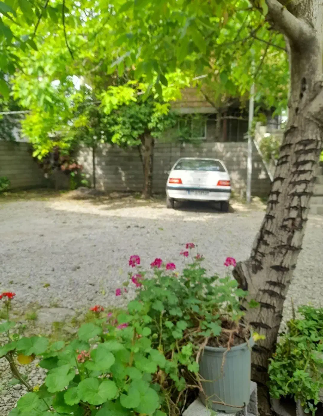 ماکلوان رهن  واحد  دربست ۱۰۰ متری|اجارهٔ خانه و ویلا|ماکلوان, |دیوار