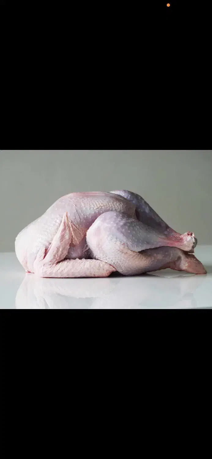 گوشت بوقلمون برای شب یلدا|خوردنی و آشامیدنی|خوی, |دیوار