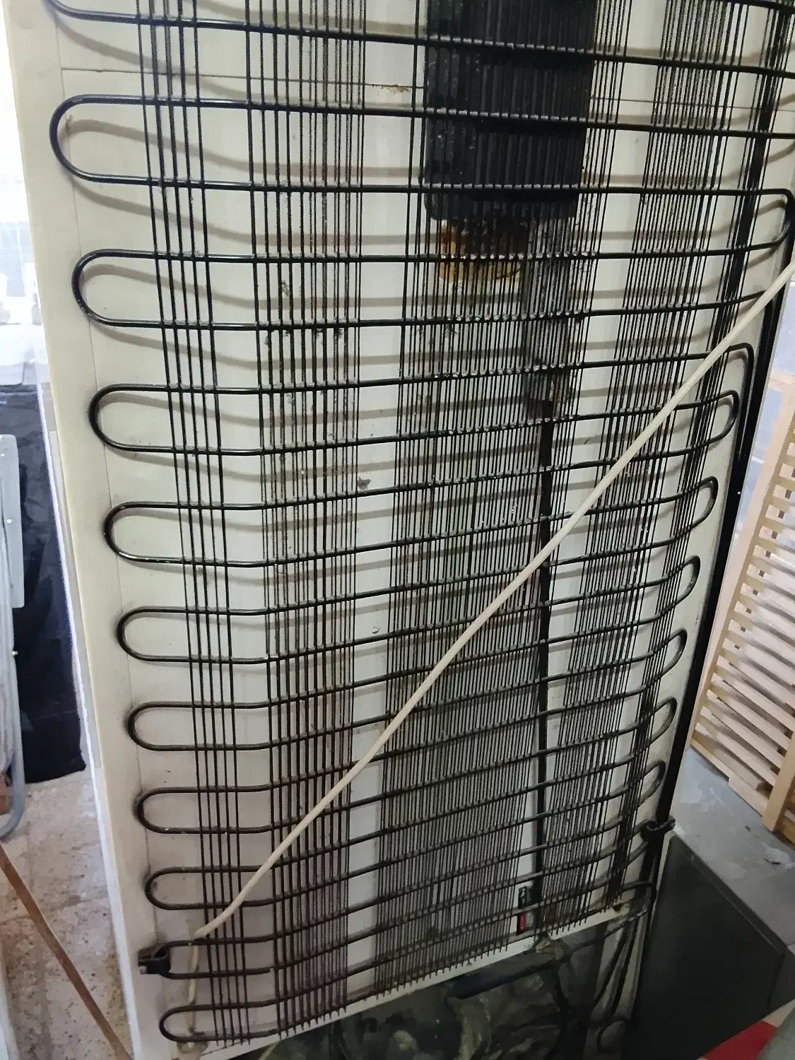 یخچال فریزر|یخچال و فریزر|ساری, |دیوار