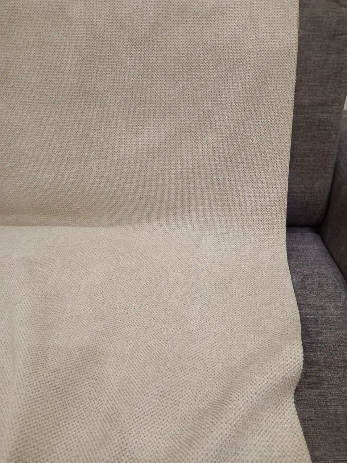 پارچه مبلی|عمدهفروشی|رشت, گلباغ نماز|دیوار