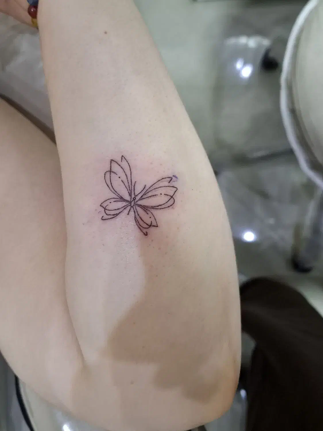 تتو|خدمات آرایشگری و زیبایی|رشت, کاکتوس|دیوار