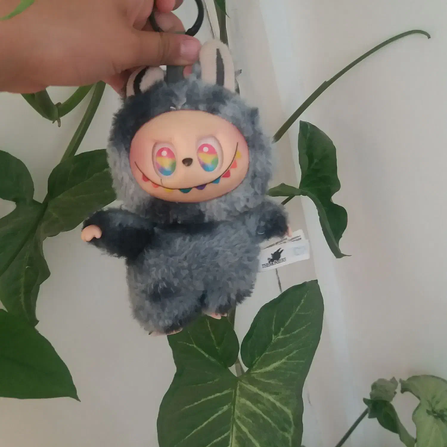 لبوبو|اسباببازی|قروه, |دیوار