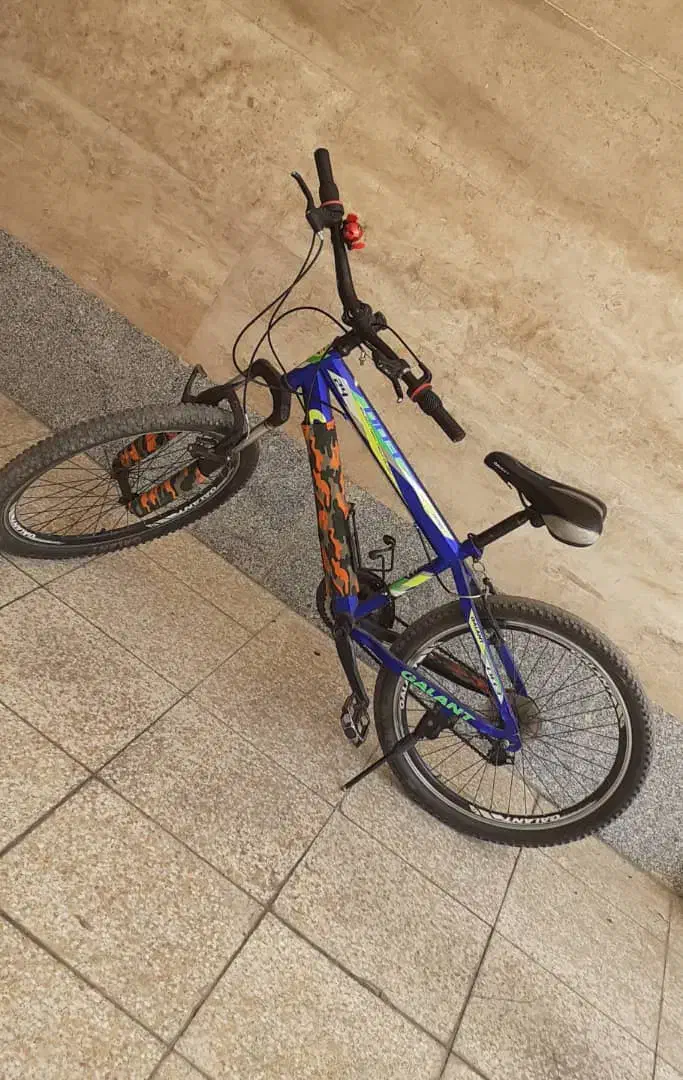 دوچرخه گالانت ۲۴|دوچرخه، اسکیت، اسکوتر|اندیشه, اندیشه فاز ۱|دیوار