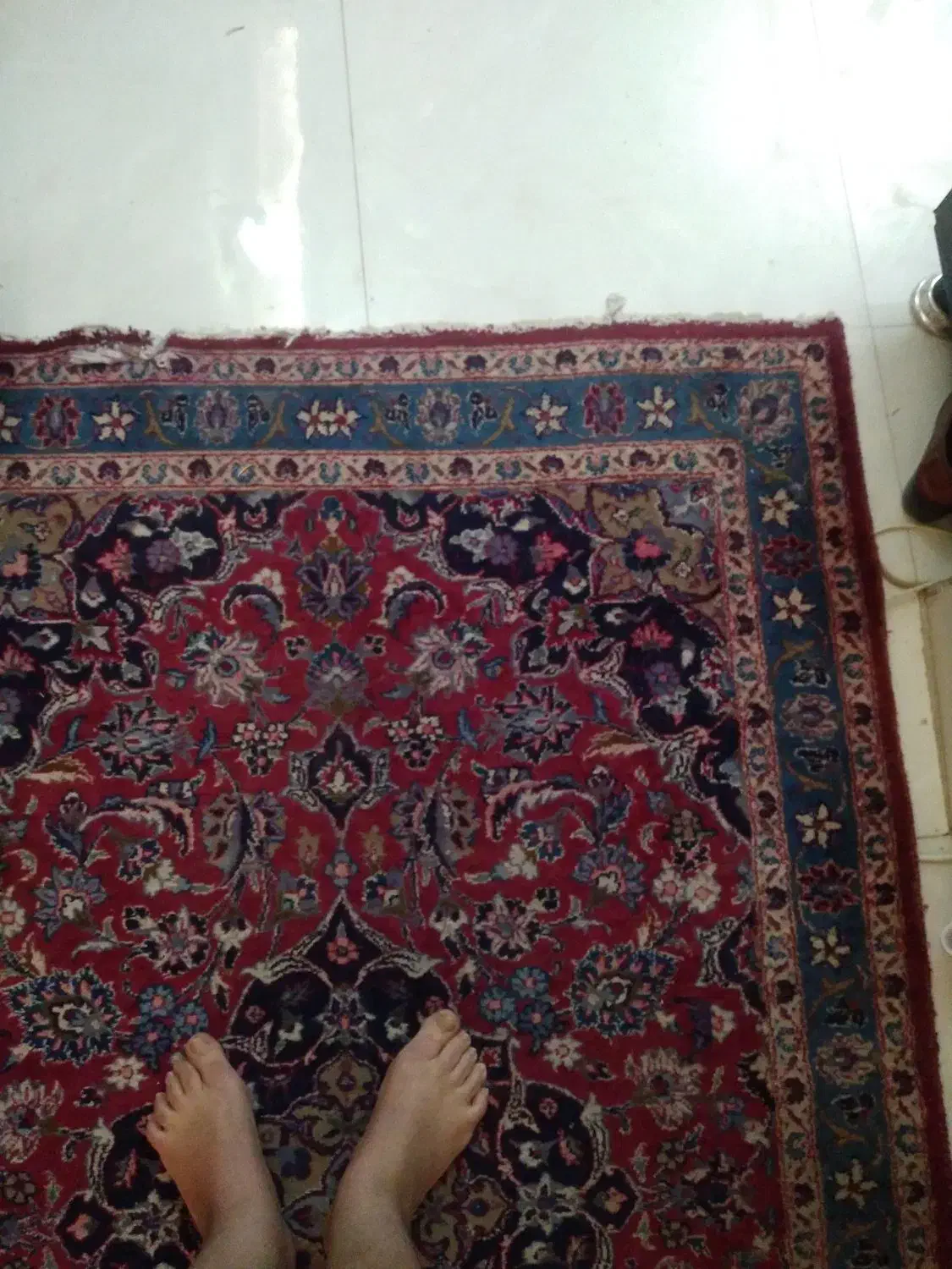 قالیچه دست باف|فرش|تربت‌حیدریه, ۴۵ متری|دیوار