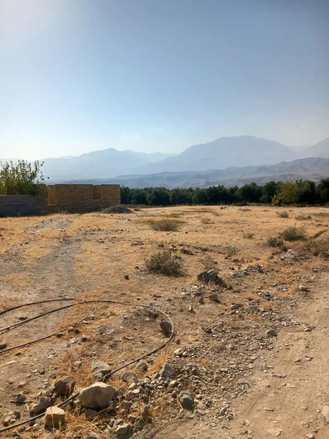 فروش زمین مسکونی|فروش زمین و ملک کلنگی|طارم (زنجان), |دیوار