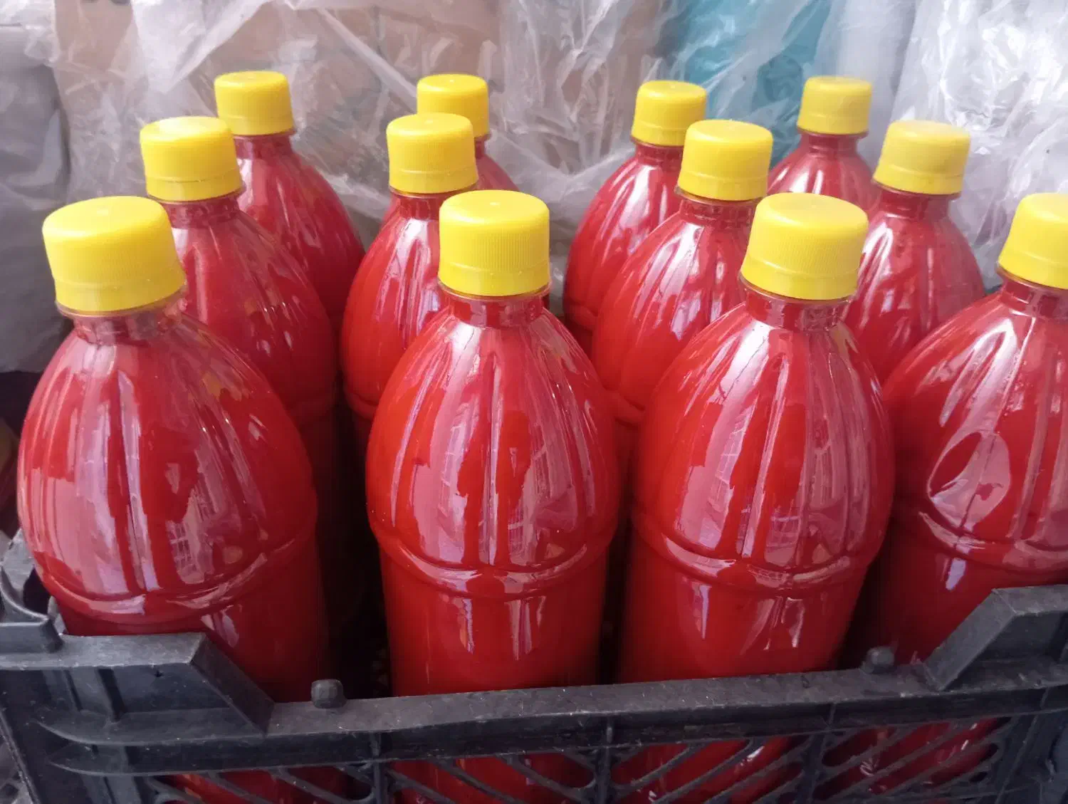 رب اورگانیک|حراج|مریوان, |دیوار