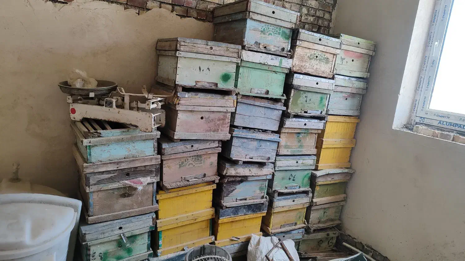 فروش کندوی زنبور عسل|ابزارآلات|جلفا, |دیوار