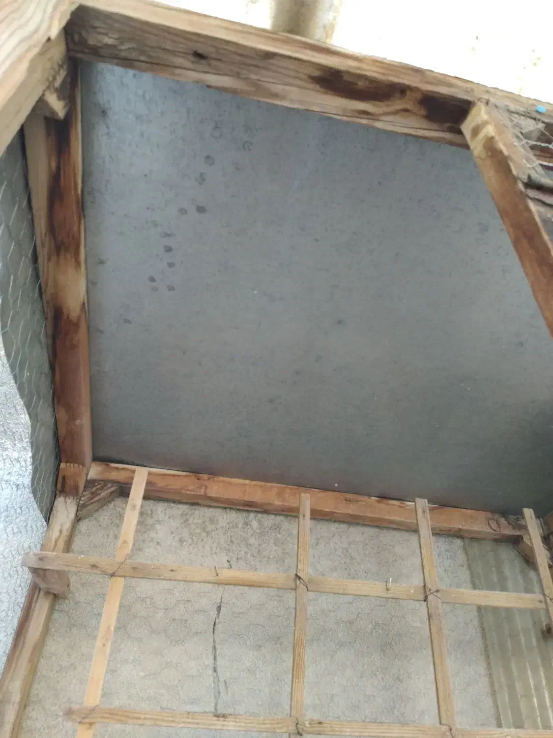 لانه.کفتر|لوازم جانبی حیوانات|محمدیه-قزوین, |دیوار