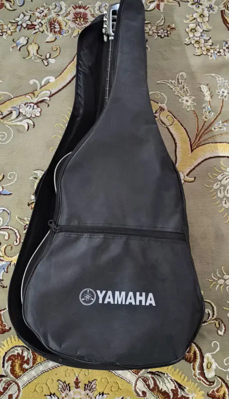 گیتار|گیتار، بیس، امپلیفایر|اصفهان, کشاورزی|دیوار