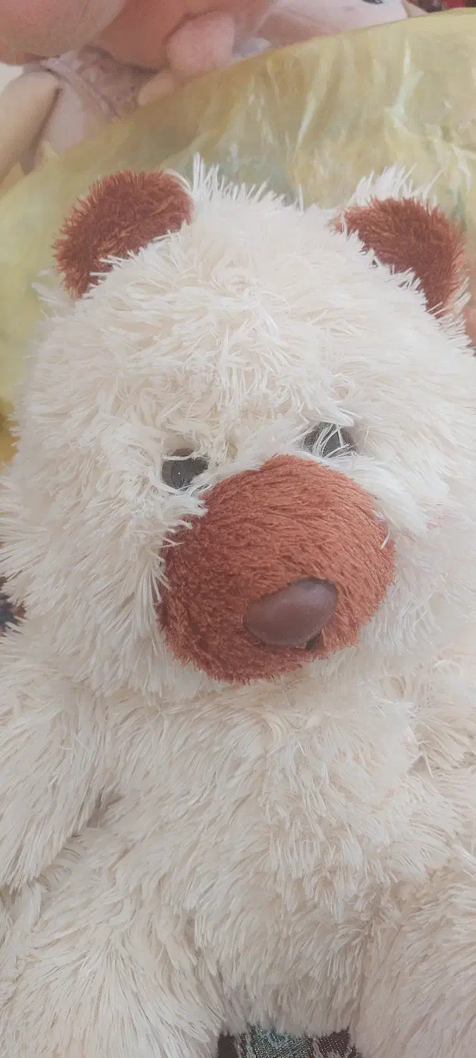 عروسک پولیشی|اسباب‌‌بازی|قزوین, |دیوار