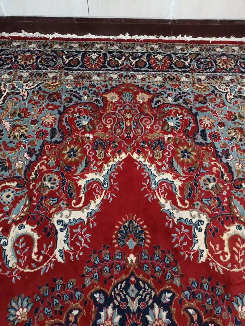 قالی 12 متری کارکرده گچساران|فرش|دوگنبدان, |دیوار