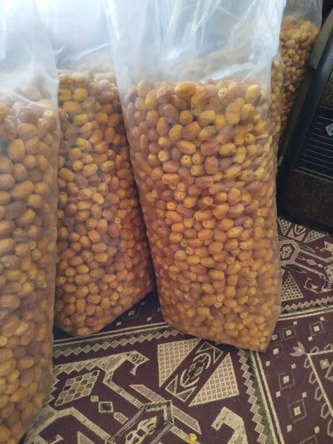 قصب سفید تازه|حراج|خفر, |دیوار