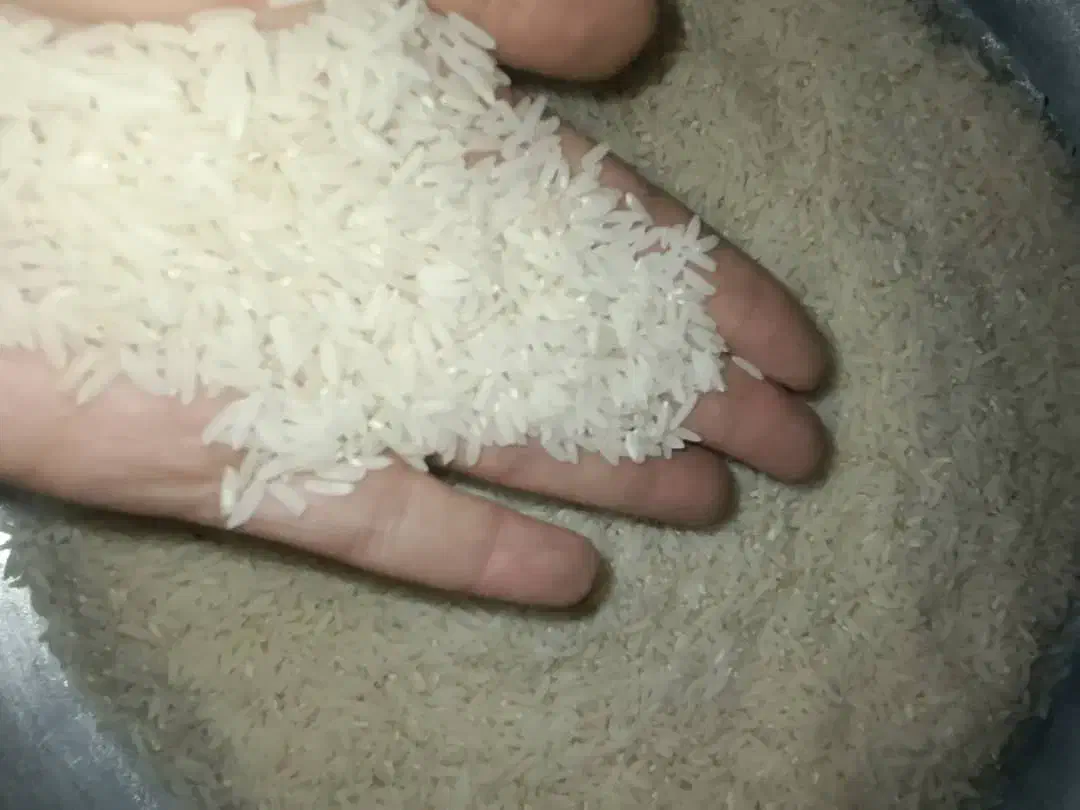 برنج درجه یک هاشمی الموت خوش قیمت خوش پخت خوش عطر|خوردنی و آشامیدنی|محمدیه-قزوین, |دیوار