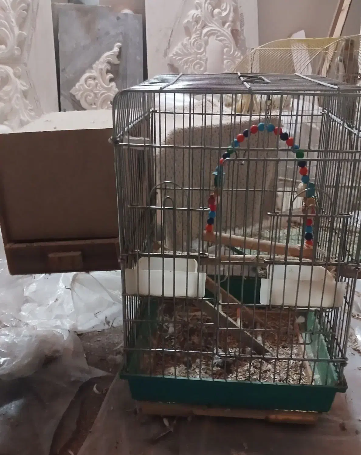 فروش دوتا قفس به همراه ظرف غذا و ابخوری و تاب لونه|لوازم جانبی حیوانات|گنبد کاووس, |دیوار