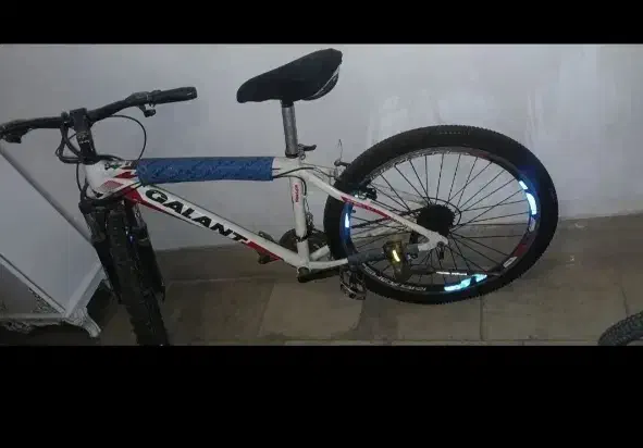 گالانت ۲۴|دوچرخه، اسکیت، اسکوتر|مهاجران, |دیوار