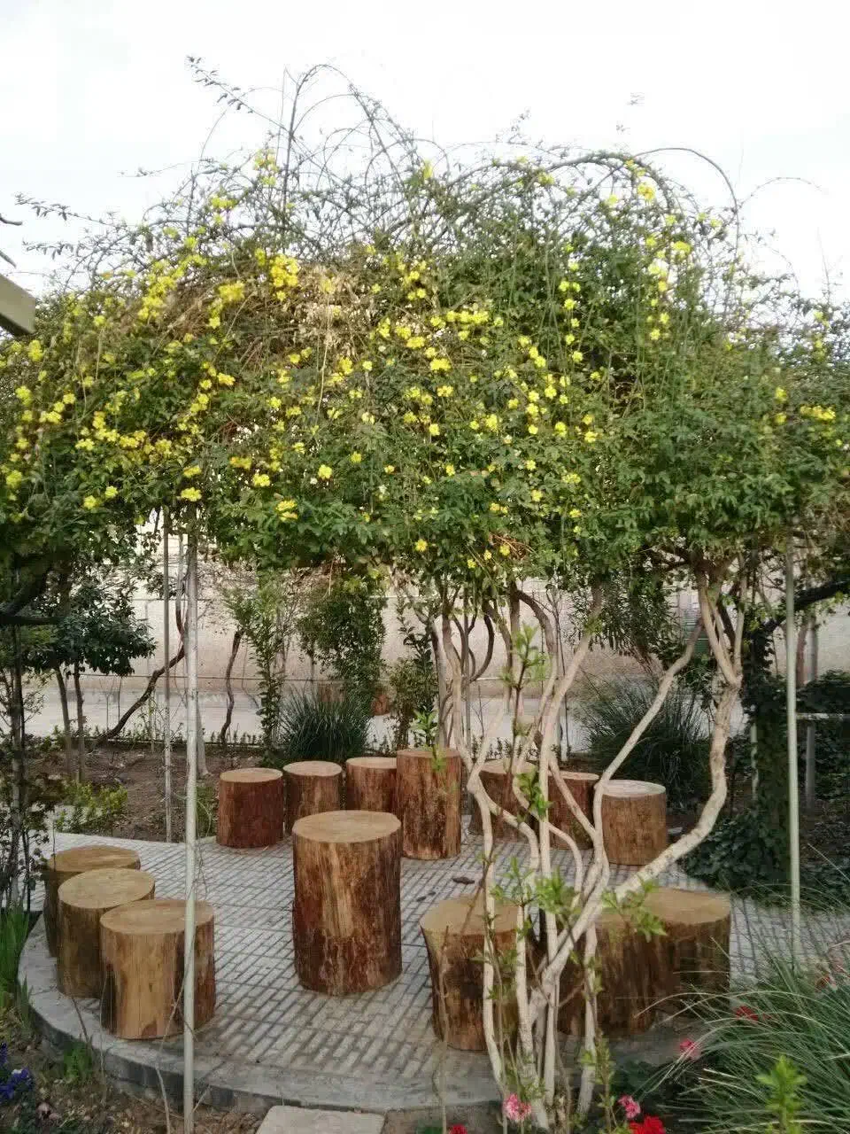 راهنمایی خانم|فعالیت داوطلبانه|قم, بلوار امین و ساحلی|دیوار