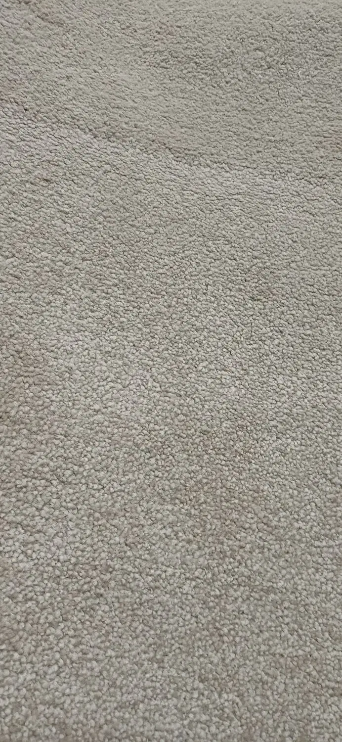 موکت ساده و پالاز موکت|موکت|مشهد, سجاد شهر|دیوار