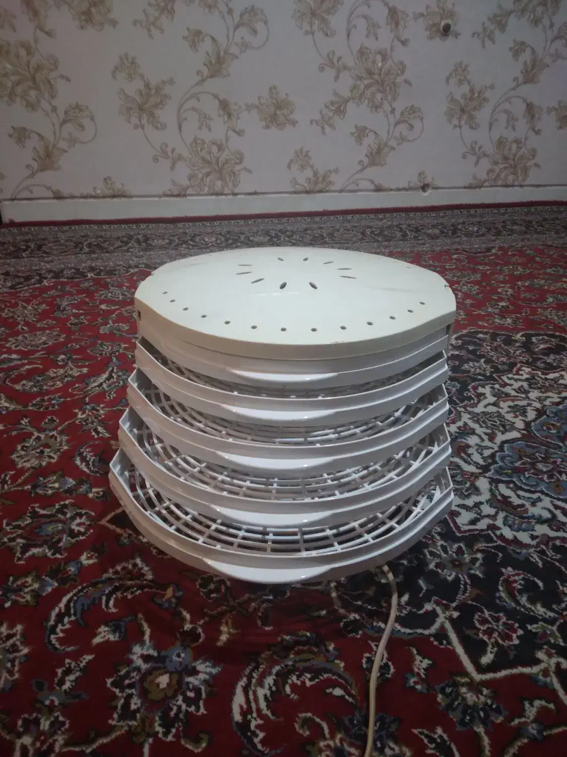 میوه خشک کن|سایر لوازم برقی|همدان, |دیوار