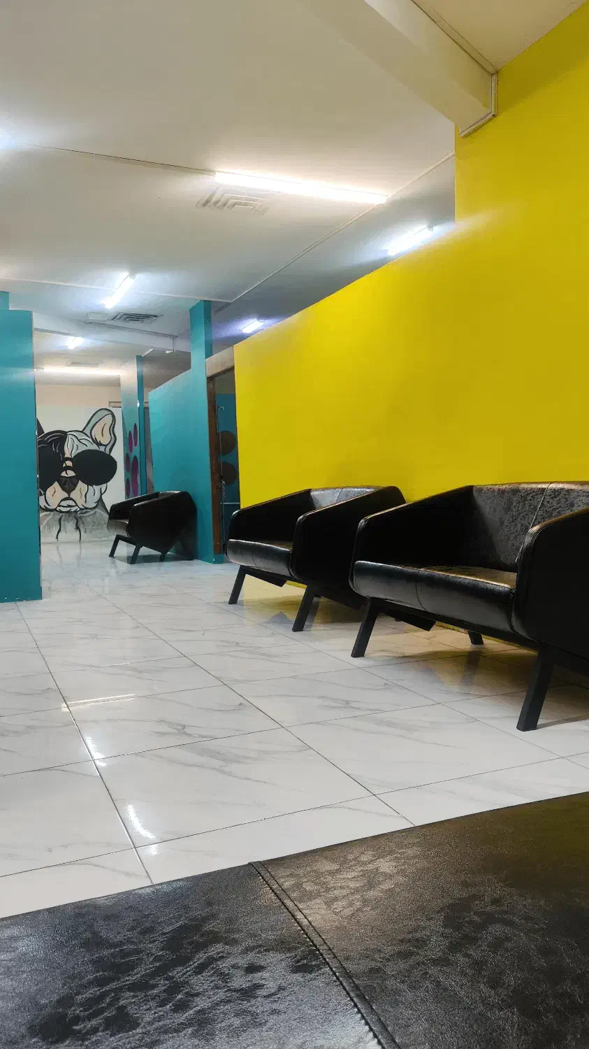 منشی خانم جهت کار در کلینیک دامپزشکی|استخدام اداری و مدیریت|تهران, گلستان (شهرک راه آهن)|دیوار