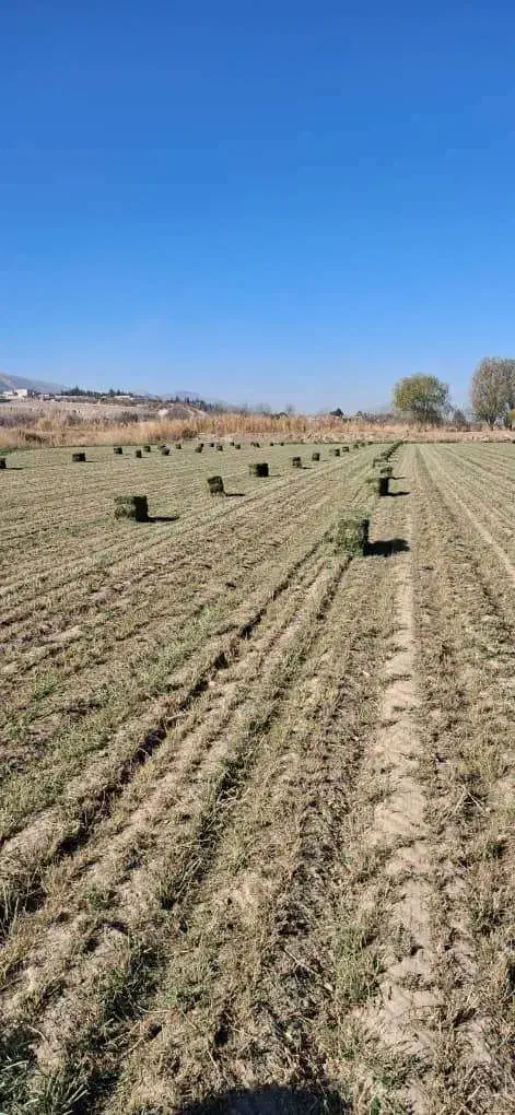 پرس یونجه باکیفیت|عمده‌فروشی|گنبد کاووس, |دیوار