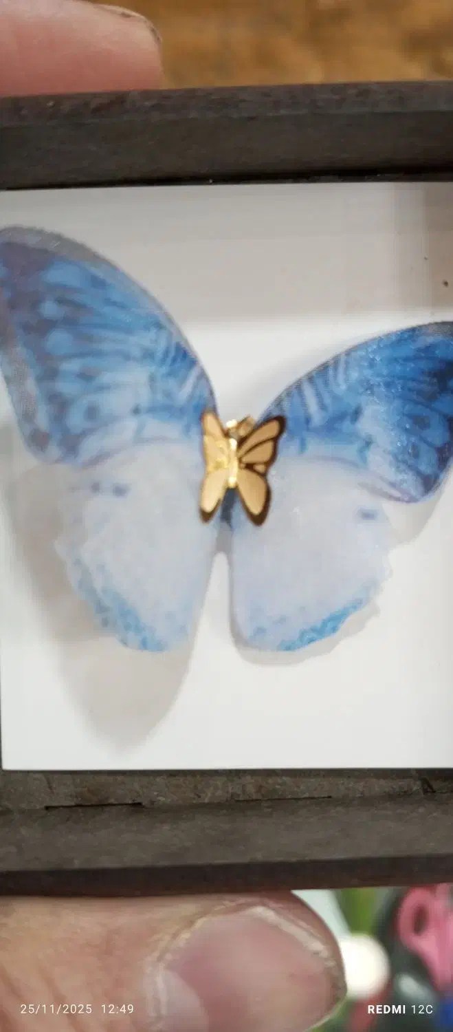 پروانه کادویی(طلا)|جواهرات|تهران, صادقیه|دیوار