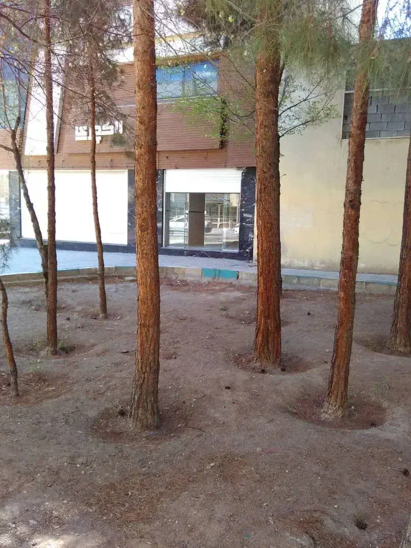 مغازه ۲۰متری اصفهان ملکشهر خیابان نقش جهان|اجارهٔ مغازه و غرفه|اصفهان, ملکشهر|دیوار