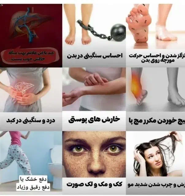 آرایشگران عزیز....|خدمات آرایشگری و زیبایی|شوشتر, |دیوار