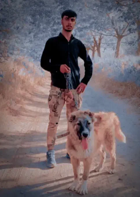 واگذاری سگ سراب|سگ|زند, |دیوار