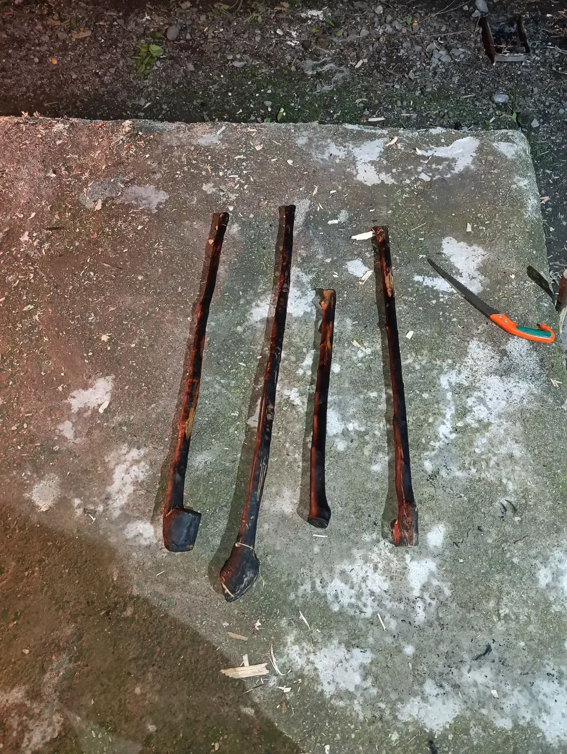 چوب دستی جنگلی|کلکسیون اشیاء عتیقه|فاضل آباد, |دیوار