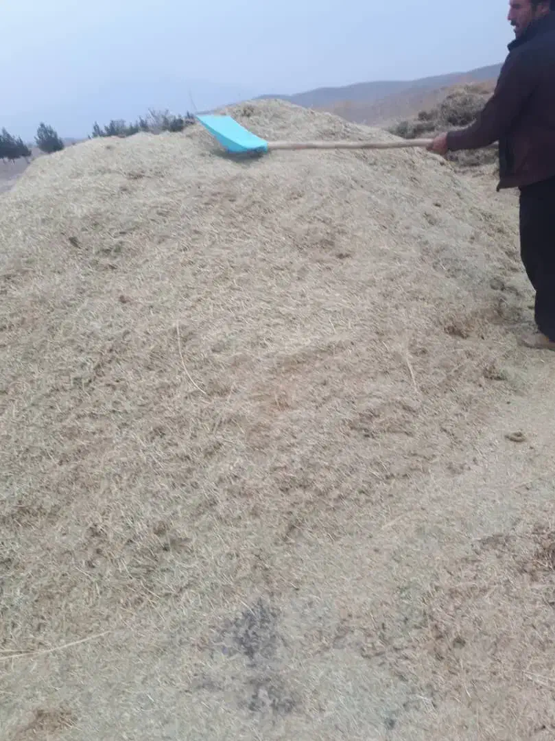 کاه یونچه|گل و گیاه طبیعی|ایواوغلی, |دیوار