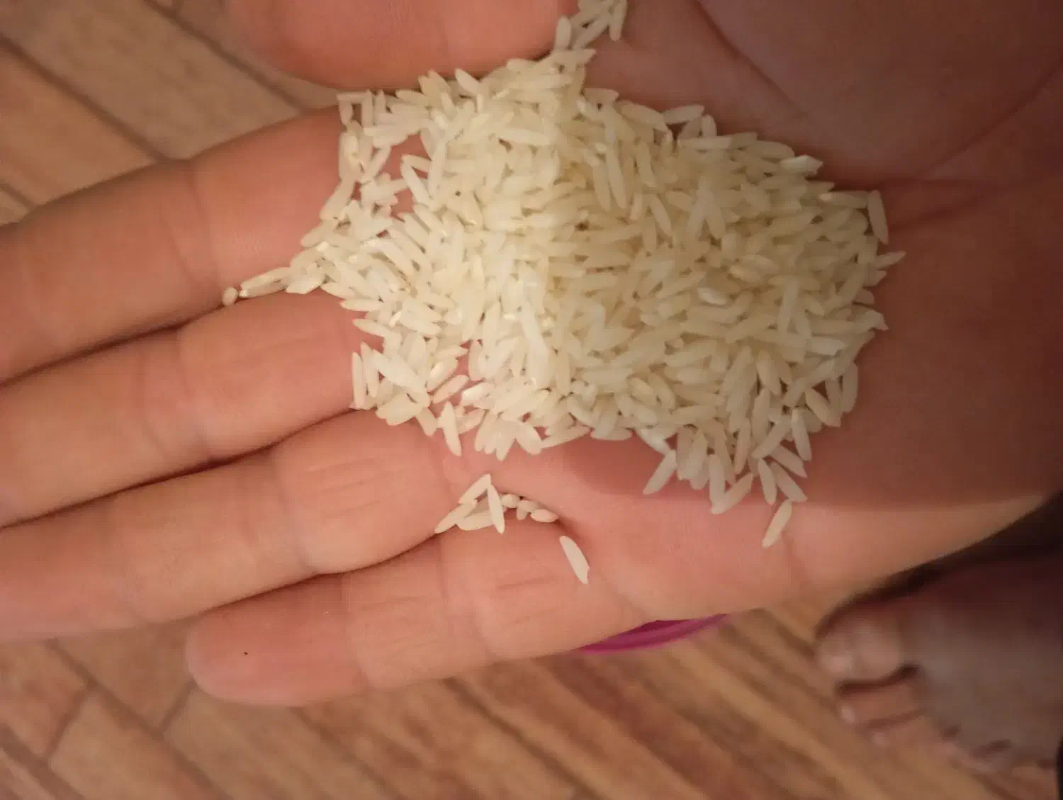 برنج محلی هاشمی دره رود|خوردنی و آشامیدنی|دره رود, |دیوار