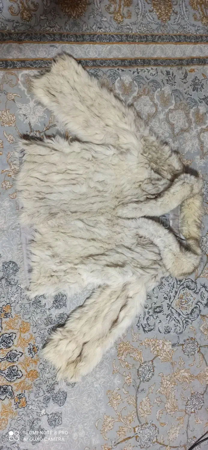 پالتو|لباس|زاهدان, |دیوار