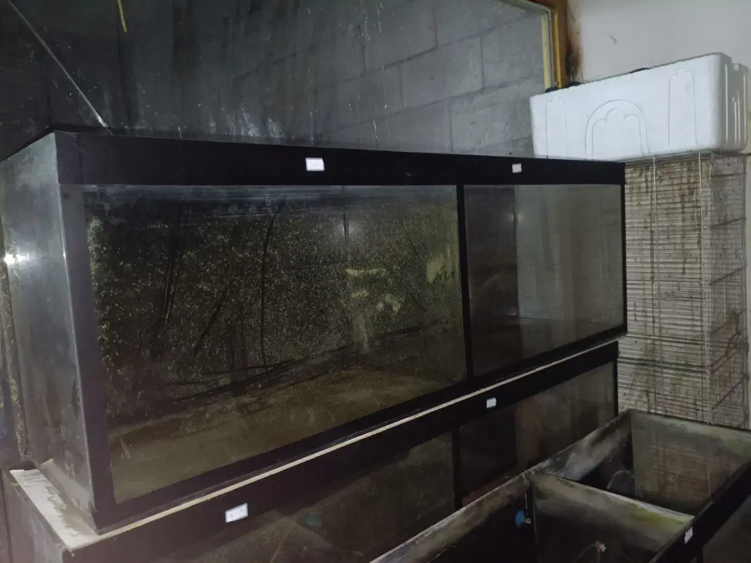 شیشه خالی|فروشگاه و مغازه|تالش, هشتپر|دیوار