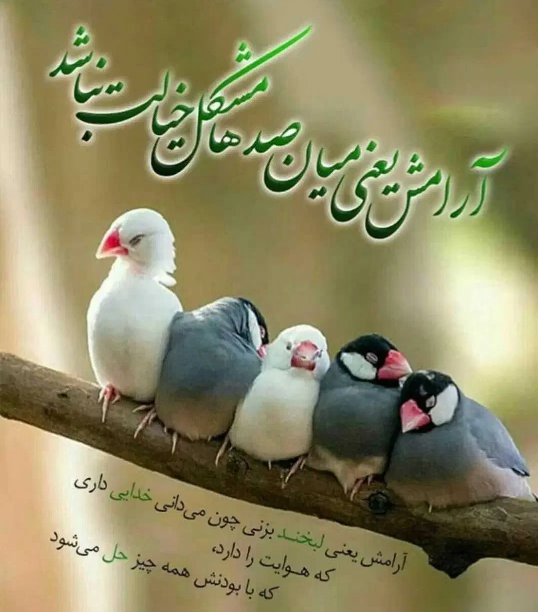 روانشناس|فعالیت داوطلبانه|تهران, اوقاف|دیوار