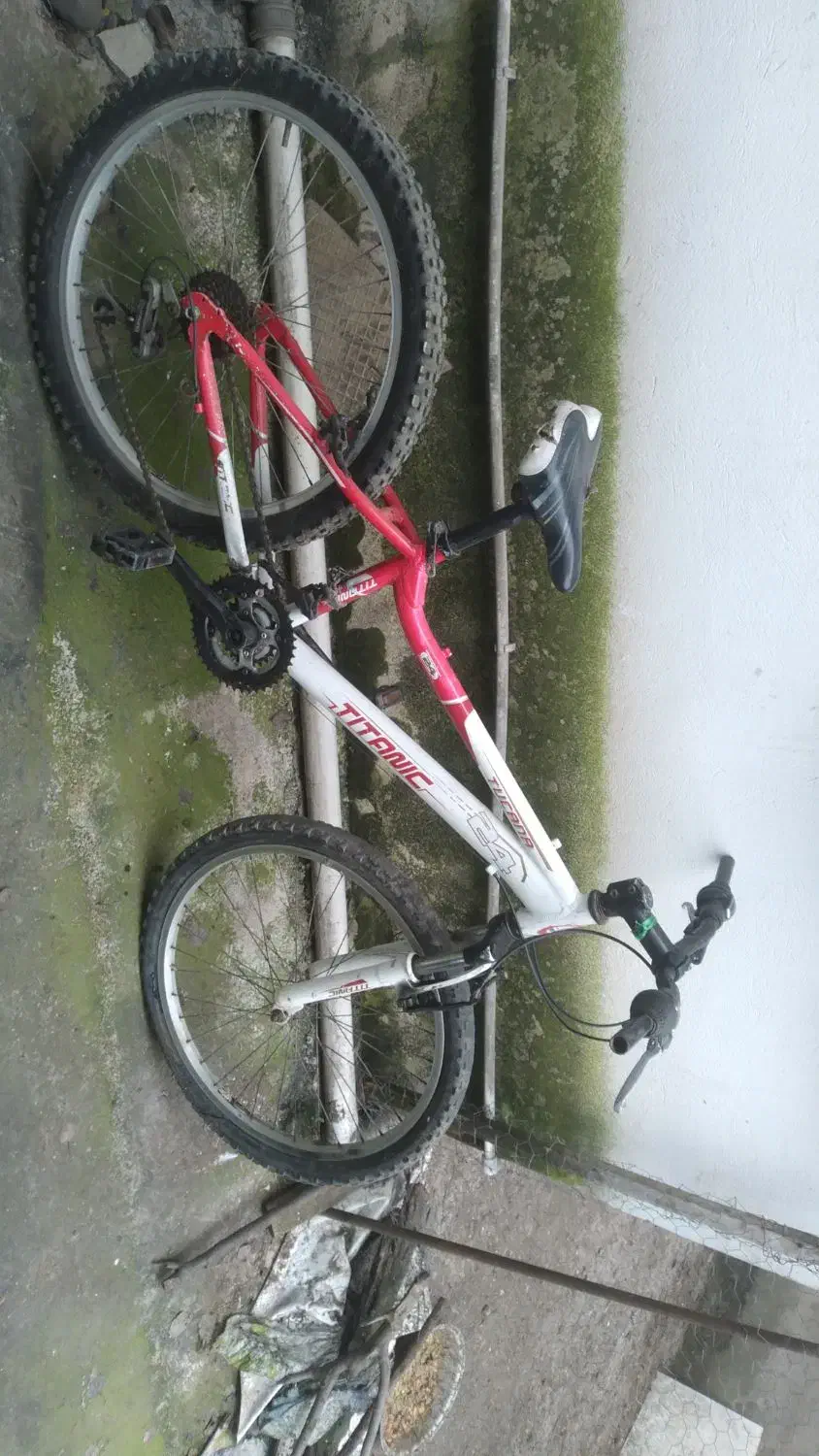 دوچرخه|دوچرخه، اسکیت، اسکوتر|لاهیجان, لیل|دیوار