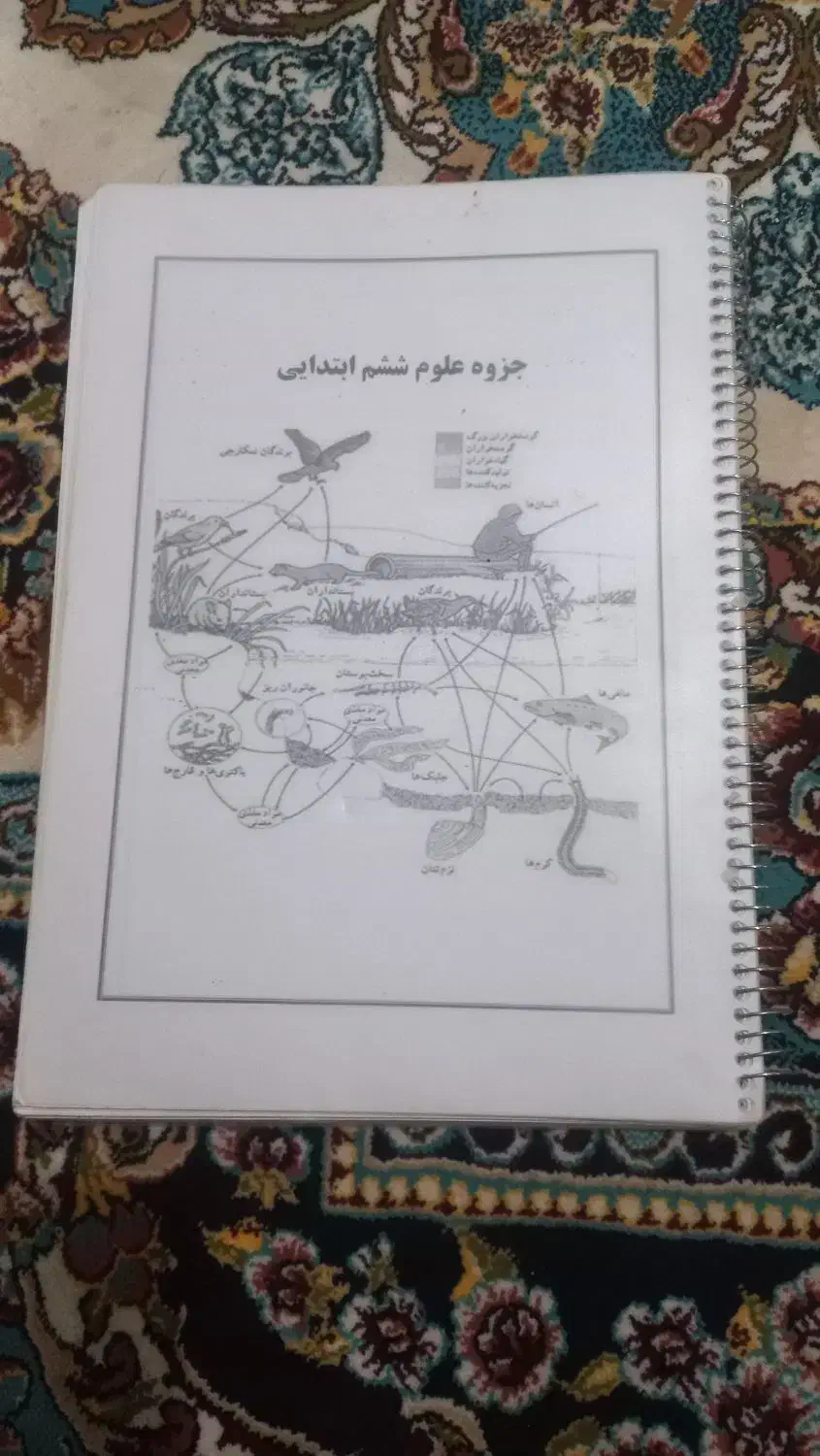 جزوه دروس ششم|کتاب و مجله آموزشی|شیراز, ریاستی|دیوار